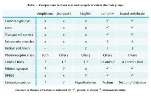 LambTable 1