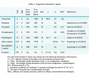 LambTable 2