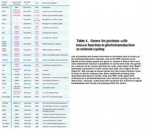 LambTable 4
