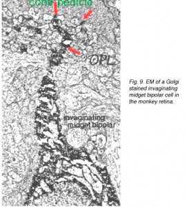 EMimbwv