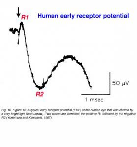 ERGFig10