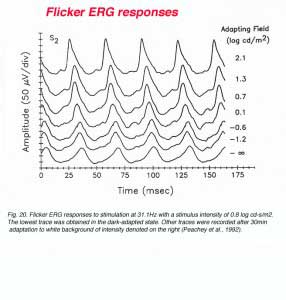 ERGFig20
