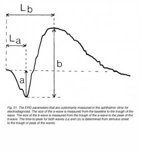 ERGFig21