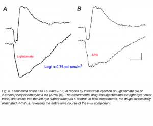 ERGFig6