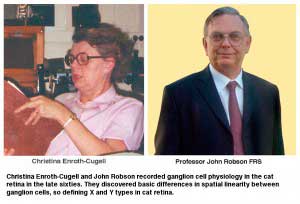Enroth-Cugell-Robson