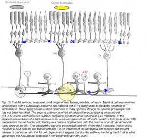 FarsiiFig6