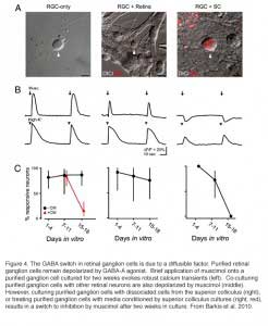 Fig.4 FordFeller-1