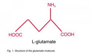 GLU1