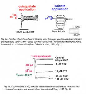 GLU7