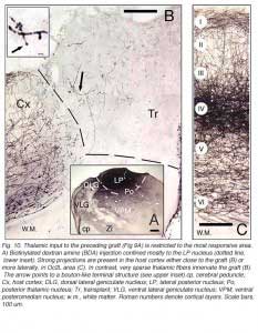 GaillardFig10