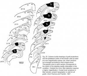 GaillardFig20