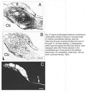 GaillardFig6