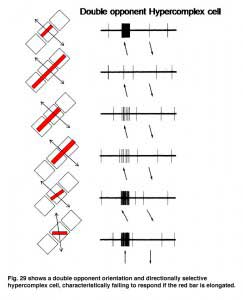 GourasFig 29