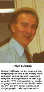GourasIPL