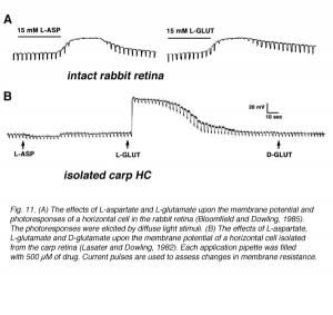 HCFig11