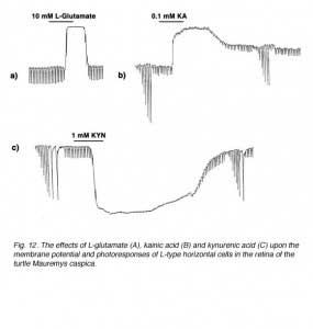 HCFig12