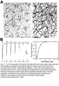 HCFig15