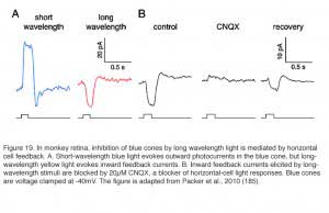 HCFig19