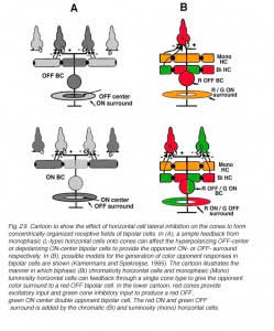 HCFig29