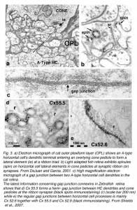 HCFig3