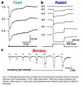 HCFig4