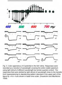 HCFig5
