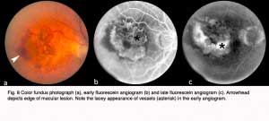 Hagerman.Fig8