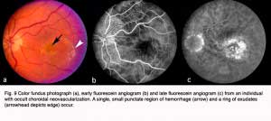 Hagerman.Fig9