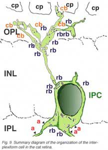 IPCsum