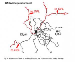 IPCwv