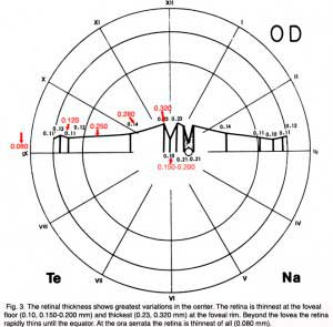 RetinalThickness