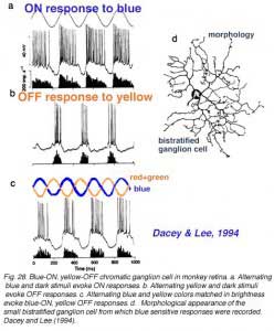S-phys