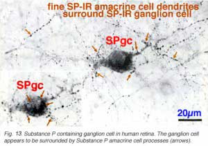 SPGC