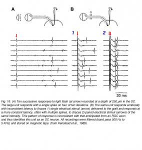 SauveFig16