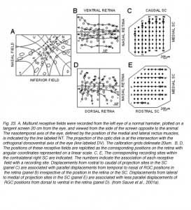 SauveFig23