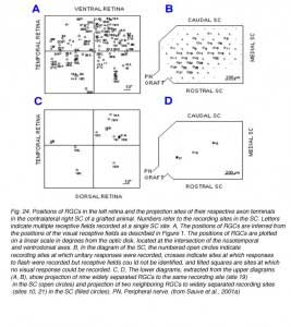 SauveFig24