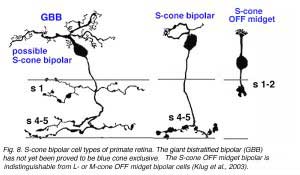 Sbipolars