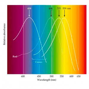 Spectrum