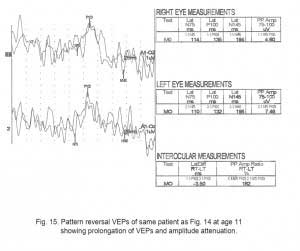 VEPFig15