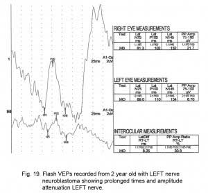 VEPFig19