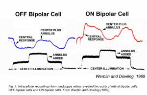 bcfig1