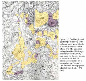 bcfig22
