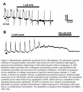 bcfig3