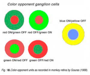 colorop