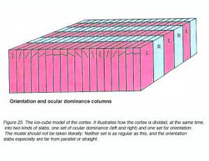 columns