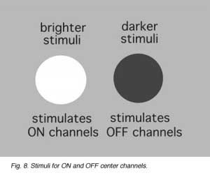 estimuli