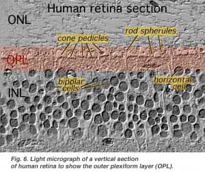 humanopl