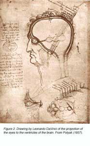leonardo