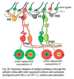 midgetpath