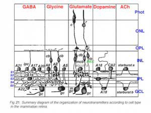 schemaNT